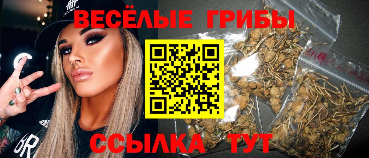 Галлюциногенные грибы мицелий  Псилоцибиновые грибы мицелий  Знаменск  магазин продажи наркотиков  Вход с VPN 