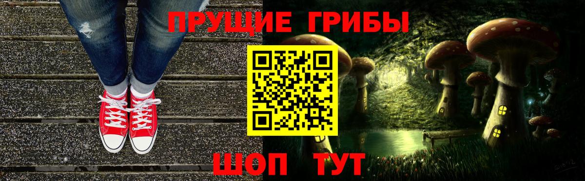 Псилоцибиновые грибы Psilocybe Знаменск